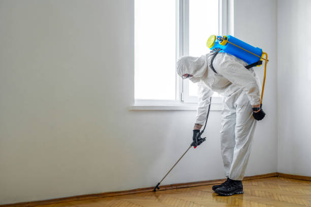Best Rat Extermination Near Me  in Rutherford, TN