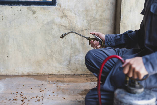 Best Affordable Pest Control Services  in Rutherford, TN